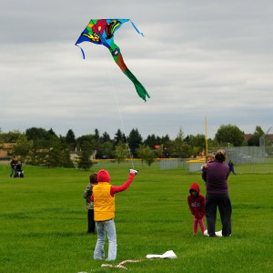 Kites Over Callingwood
